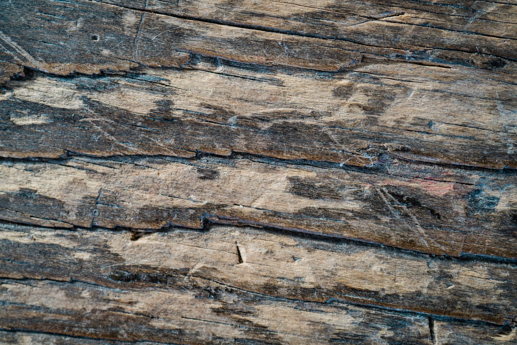 What we mean when we say rustic